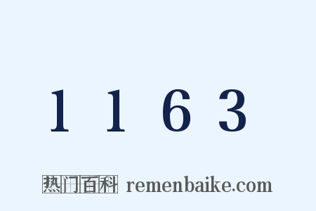 1163是什么意思的图片